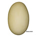 Replica Brown Kiwi Egg (121mm)