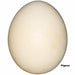 Replica Pigeon (Rock Dove) Egg (39mm)
