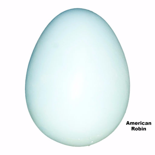 Replica American Robin Egg (29mm)