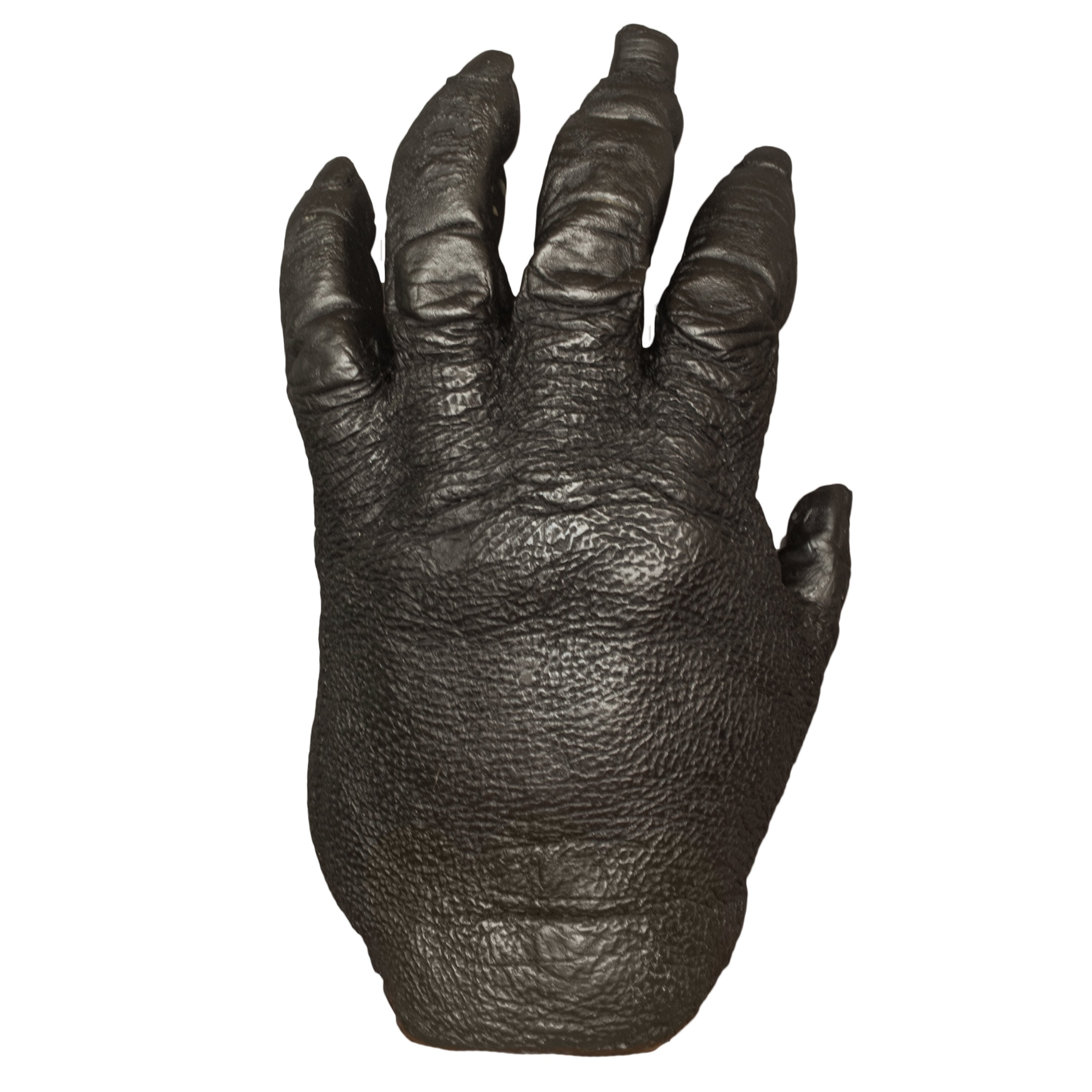 Replica Lowland Gorilla Male Right Hand — Skulls Unlimited International,  Inc.