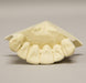 Replica Orthodontic Study Model