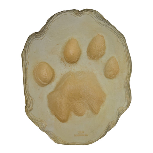 African Lion Footprint