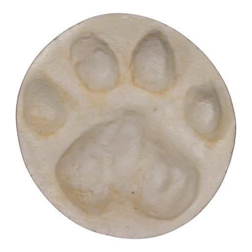 Mountain Lion Negative Footprint