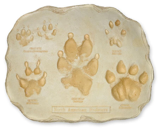 Large Predator Footprint Plaque