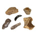 Replica Set of 6 Neanderthal Mousterian Industry Tools