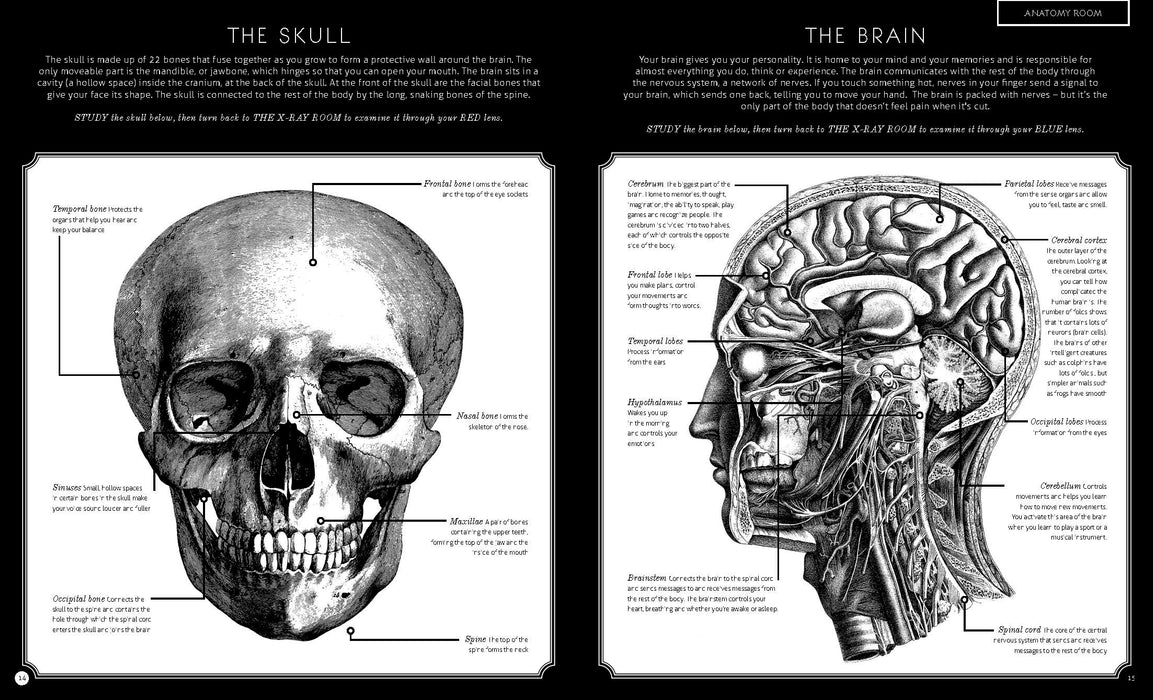 "Illumanatomy" by Kate Davies and Carnovsky