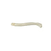 Replica American River Otter Baculum