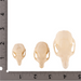 Real Squirrel Skull - Set of 3