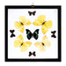 Real Butterflies in Black Frame - Set of 9