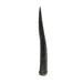 Real Steenbok Horn - Single