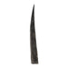 Real Steenbok Horn - Single