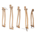 Real Human Ulna and Radius - Antique, Articulated