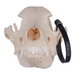 Real Domestic Dog Skull - Husky