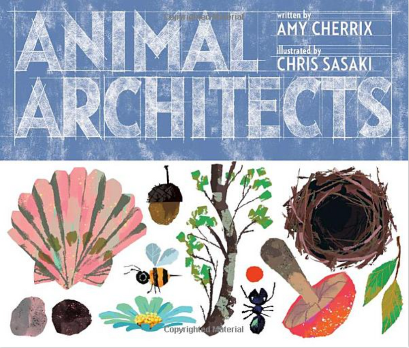 "Animal Architects" by Amy Cherrix and Chris Sasaki