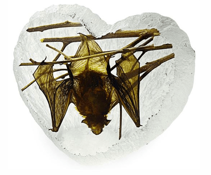 Real Acrylic Hanging Bat Paperweight - Heart