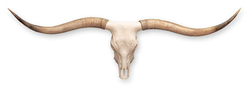 Replica Longhorn Skull