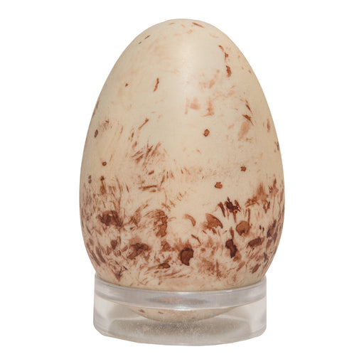 Replica Turkey Vulture Egg