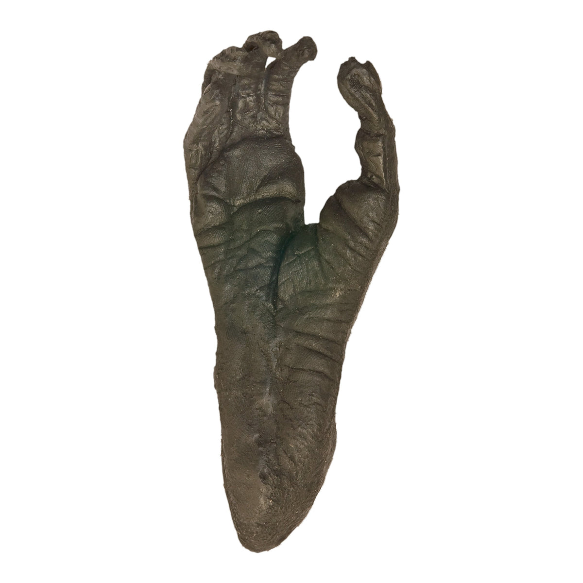 Replica White-handed Gibbon Foot — Skulls Unlimited International, Inc.