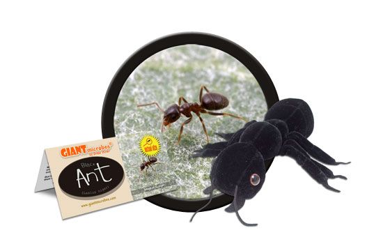 Giant Microbes Black Ant