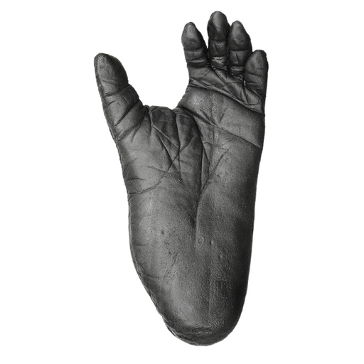 Replica Lowland Gorilla Male Right Hand — Skulls Unlimited International,  Inc.