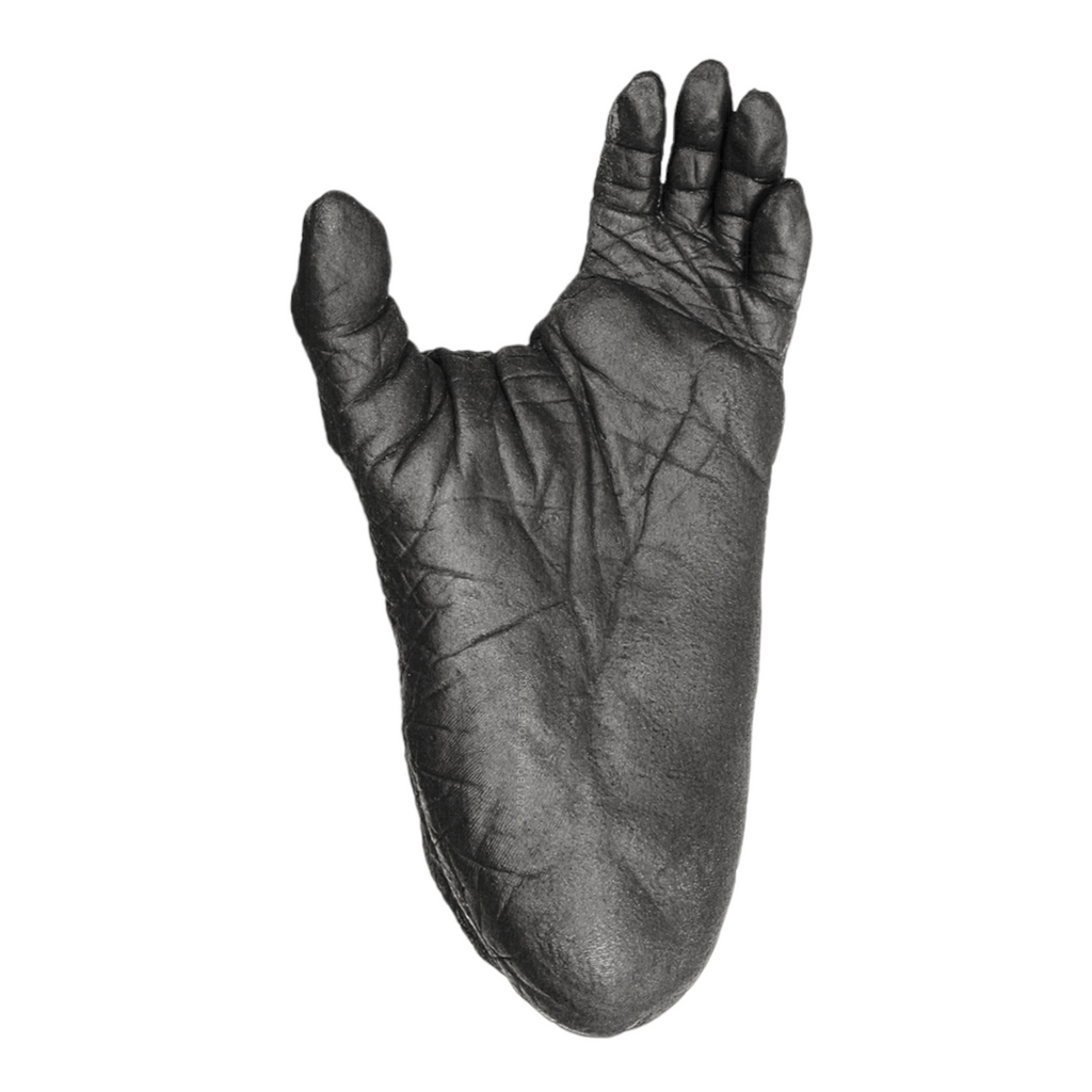 Replica Lowland Gorilla Male Right Hand — Skulls Unlimited International,  Inc.