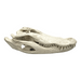 Replica American Alligator Skull (29.5 in.)