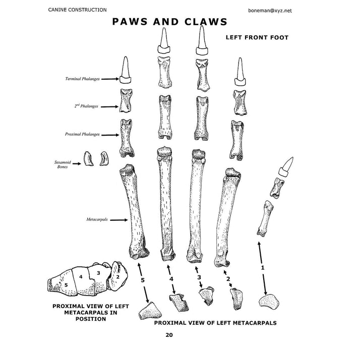 Canine Construction Book (Vol. 8)