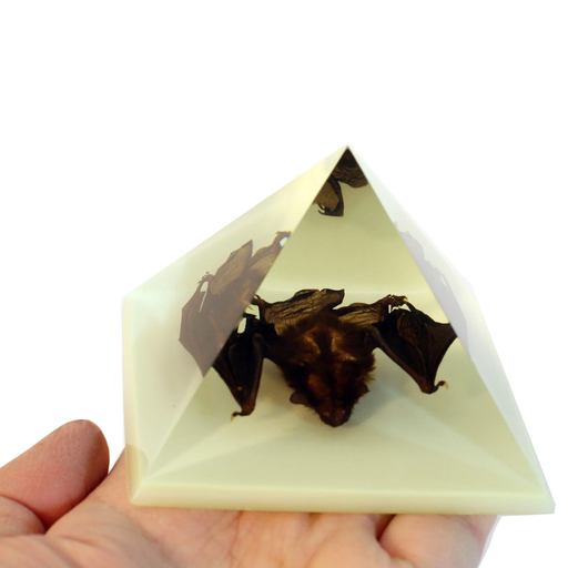 Real Acrylic Bat Pyramid