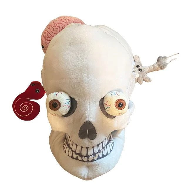 Giant Microbes Deluxe Skull With Hidden Organs