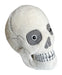 Giant Microbes Skull