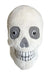 Giant Microbes Skull